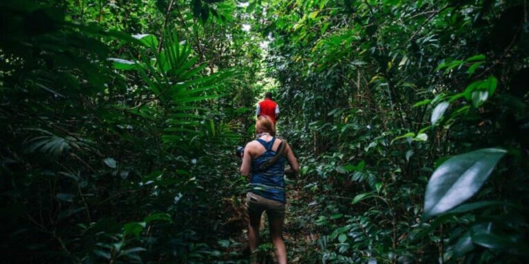 Dominica Hiking Adventures - Who Should Consider This Tour?