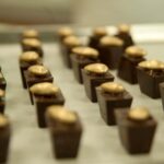 Dominican Republic: 3-Hour Chocolate Lovers Tour - Logistics and Practical Details