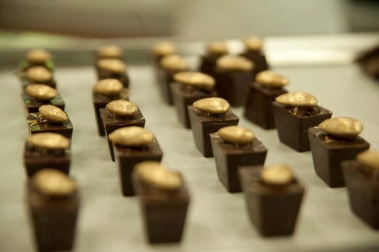 Dominican Republic: 3-Hour Chocolate Lovers Tour - Logistics and Practical Details