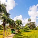 Dominican's 8 hours Trip Zipline, ATV Buggie, Horseback & Safari - Considerations Before Booking