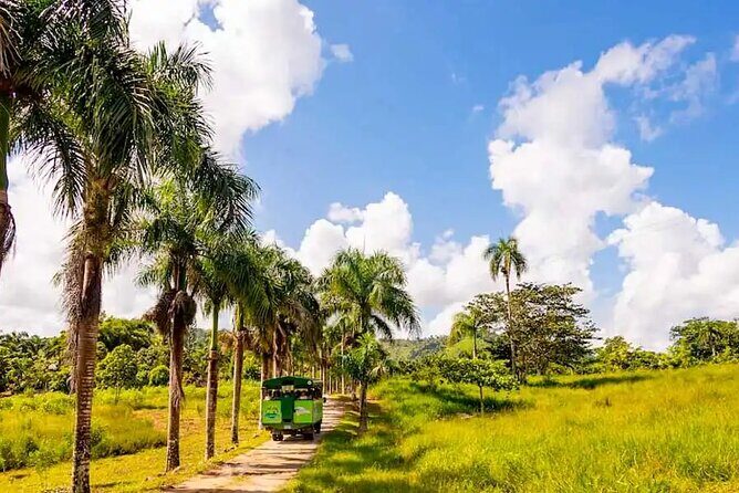 Dominican's 8 hours Trip Zipline, ATV Buggie, Horseback & Safari - Considerations Before Booking