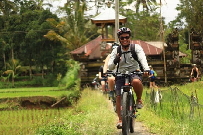 Downhill Jungle and Rice Terrace Cycling Tour - How the Tour Runs Day-to-Day