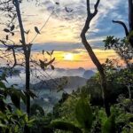 Dragon Crest Sunrise Hike and Klong Root Kayaking Private Tour - Transportation, Group Size, and Comfort