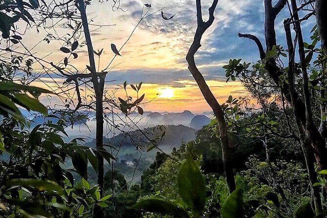 Dragon Crest Sunrise Hike and Klong Root Kayaking Private Tour - Transportation, Group Size, and Comfort