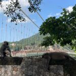 Drive to Divinity: A Perfect Day Tour of Rishikesh by Car - Who Will Love This Tour?