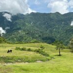 Dumaguete Tours in English | Private, Flexible Full Day Tours - What’s Included and What’s Not