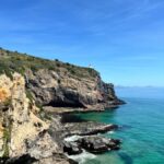 Dunedin City & Otago Peninsula Scenery Day Tour - Transport, Group Size, and Value