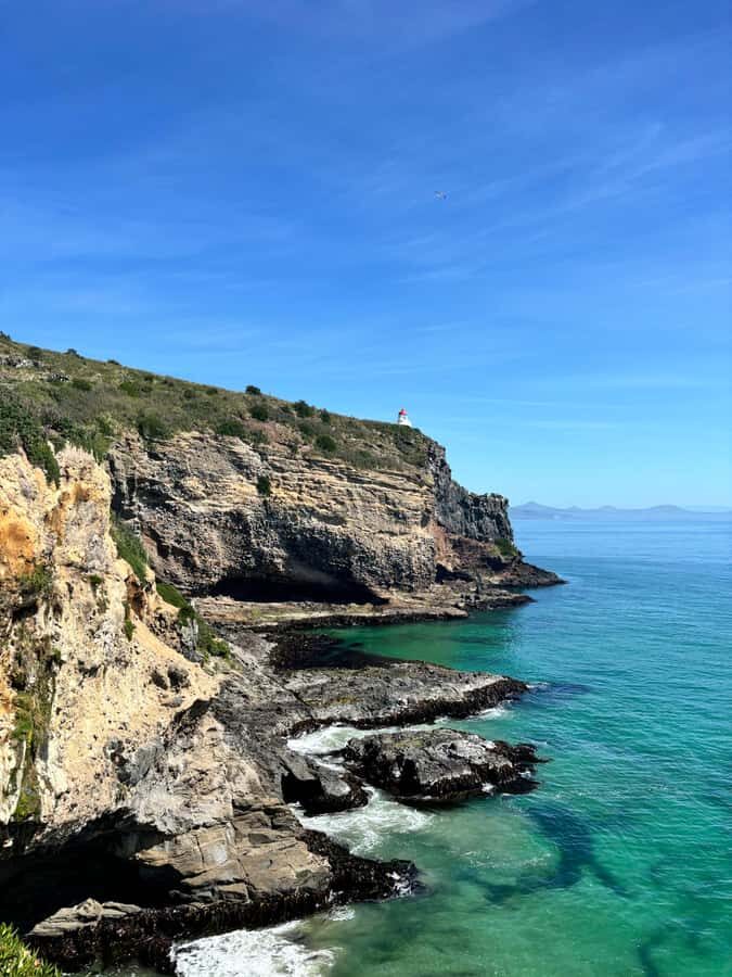 Dunedin City & Otago Peninsula Scenery Day Tour - Transport, Group Size, and Value