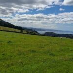 Dunedin & North Otago Scenic & Wildlife Tour - Practical Details and Value