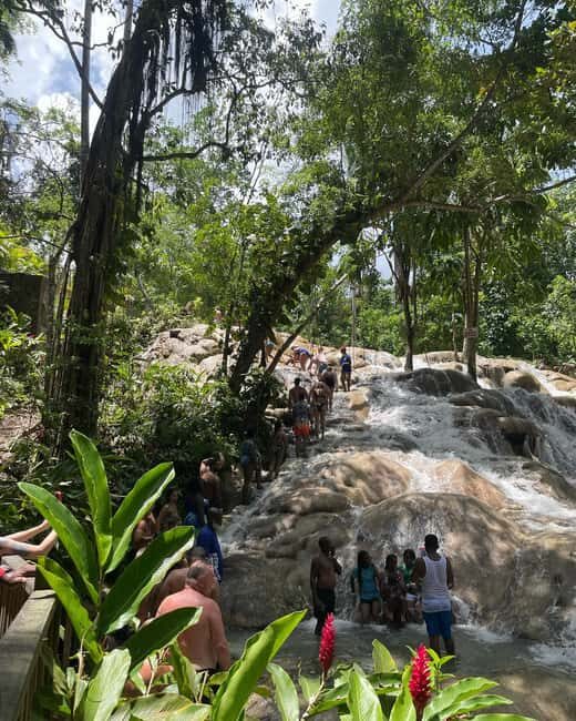Dunns River Falls and Atv Adventure from Falmouth/ Trelawny - Final Thoughts