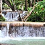 Dunn's River Falls & Luminous Lagoon Guided Tour with Admission from Falmouth - Who Will Enjoy This Tour?