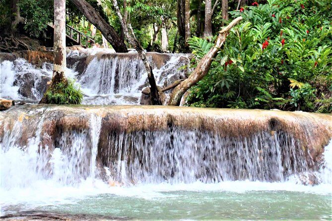 Dunn's River Falls & Luminous Lagoon Guided Tour with Admission from Falmouth - Who Will Enjoy This Tour?