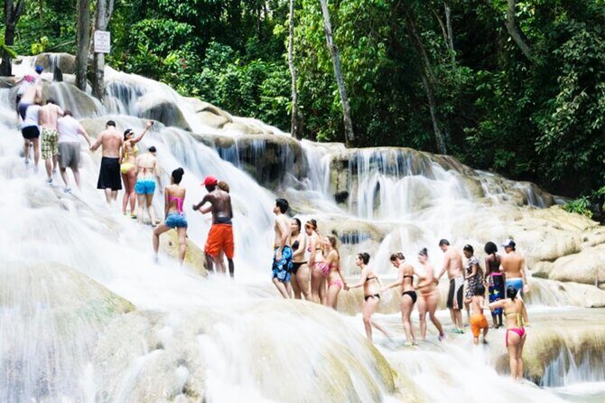 Dunns River Falls Tour from Montego Bay - Who Will Love This Tour?