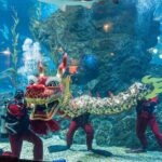 Duo SEA LIFE and Madame Tussauds Ticket in Bangkok - Who Will Love This Experience?