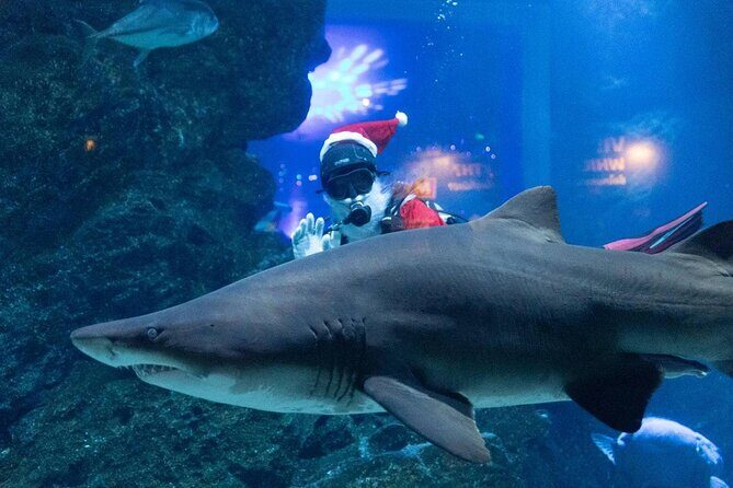 Duo SEA LIFE and Madame Tussauds Ticket in Bangkok - Exploring the Itinerary in Detail