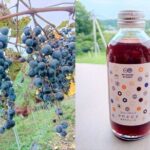 E-bike tour in the country side of Saitama near Tokyo - Who Is This Tour Best For?