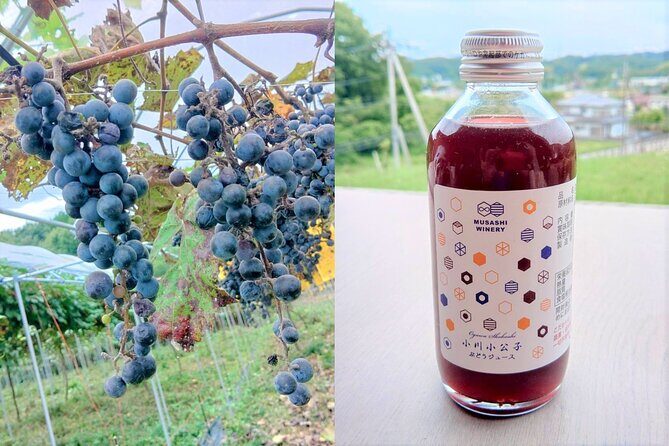 E-bike tour in the country side of Saitama near Tokyo - Who Is This Tour Best For?