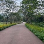 Early My Son tour/transfer to avoid crowd and the heat - Why Choose an Early My Son Tour?