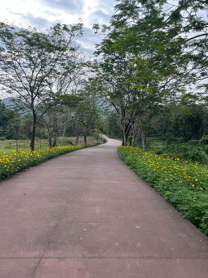 Early My Son tour/transfer to avoid crowd and the heat - Why Choose an Early My Son Tour?