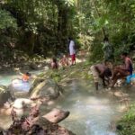 Earth Family Farms: Collier Gully Holistic River Nature Hike - Practical Tips for Your Visit