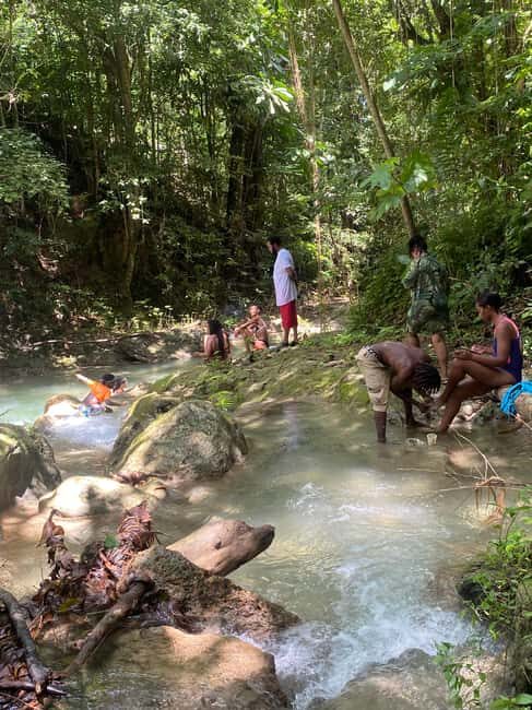 Earth Family Farms: Collier Gully Holistic River Nature Hike - Practical Tips for Your Visit