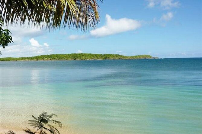 East Puerto Rico's Hidden Gems: Self-Guided Tour - What’s Included and What’s Not?