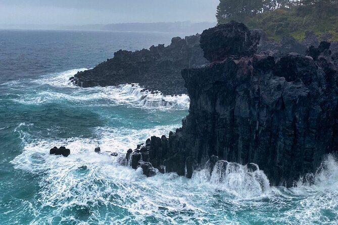 Eastern Jeju: All Inclusive Private Tour w/ Tangerine picking - Who Is This Tour Best For?