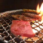 Eat, Drink, Cycle: Osaka Food and Bike Tour - Who Will Love This Tour?