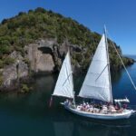 Eco Sailing Tour to Maori Rock Carvings on Lake Taupo - Pricing and Value