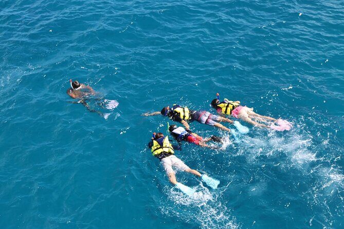 Eco Snokeling in Piti Bay Marine - Authentic Insights from Past Travelers