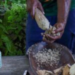 Eden's Kava Experience - What to Expect from Eden’s Kava Experience