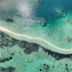 El Nido: Snake Island and Cave Tour with Island Lunch - An In-Depth Look at the Tour Experience