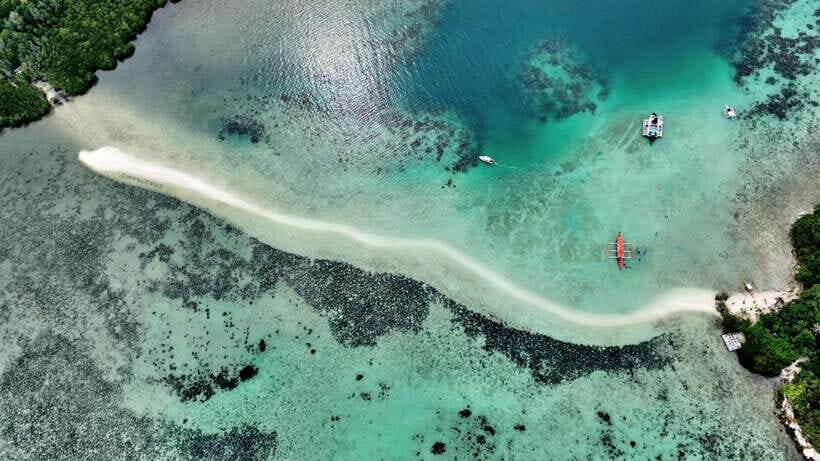 El Nido: Snake Island and Cave Tour with Island Lunch - An In-Depth Look at the Tour Experience  