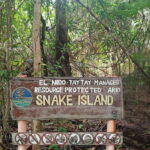 El Nido: Tour B with Snake Island, Cudugnon Cave, and More - Final Thoughts: Is This Tour for You?