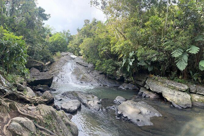 El Yunque & Beach Tour: Waterslide, Waterfall, Food, & Photos - Practicalities and What to Bring