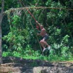 El Yunque Hike, Waterslide & Luquillo Kiosks Food with Transport - A Closer Look: What’s Included and What to Expect