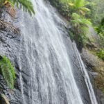 El Yunque National Rainforest and Luquillo Beach Tour - Practical Details and Traveler Tips