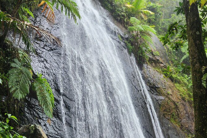 El Yunque National Rainforest and Luquillo Beach Tour - Practical Details and Traveler Tips