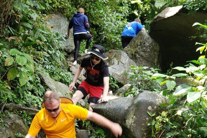 El Yunque Rainforest Guided Tour - Who Should Take This Tour?