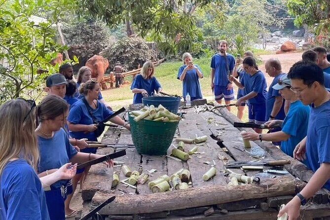 Elephant Care and Sticky Waterfalls (Bua Thong Waterfalls) Tour - Why This Tour Might Be Perfect for You