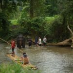 Elephant Eco Park Free Entry & ATV, Raft & Waterfall, Tribe - Practical Details & Tips
