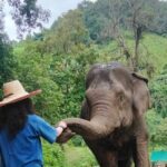 Elephant Experience and Hidden Jungle Waterfall Chiang Mai - The Hidden Waterfall: A Refreshing Escape