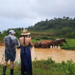 Elephant Nature Experience with Lunch at Bukit Elephant Park - Final Thoughts