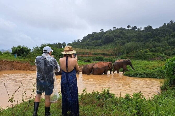 Elephant Nature Experience with Lunch at Bukit Elephant Park - Final Thoughts