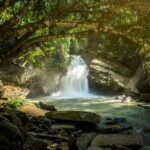 Elephant Sanctuary + Waterfall + Bamboo Rafting One Day Trip - Who Will Love This Tour?