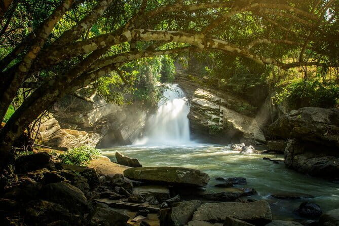 Elephant Sanctuary + Waterfall + Bamboo Rafting One Day Trip - Who Will Love This Tour?