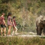 Elephant Sanctuary with Thai Cooking Experience in Chiang Mai - Who Is This Tour Best For?