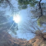 Elephanta Caves Private Guide on Island - What We Loved About This Tour