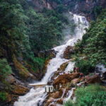 Ella: Adventure day trip to explore Ella by tuk tuk - Who Is This Tour Best Suited For?