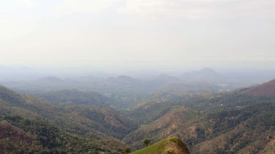 Ella: City Tour with Lunch, Nine Arch Bridge & Waterfall - What the Tour Offers vs. What to Consider